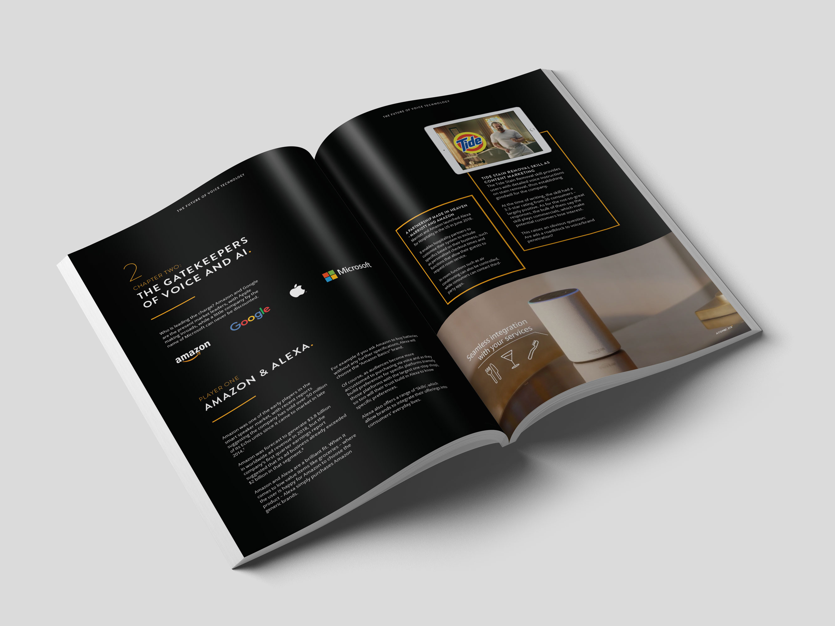 Atomic212 The Future of Voice Publication