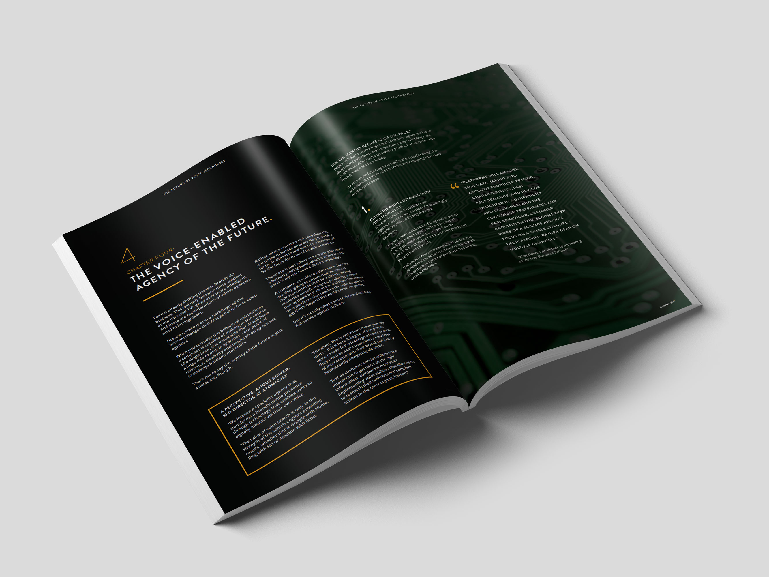 Atomic212 The Future of Voice Publication