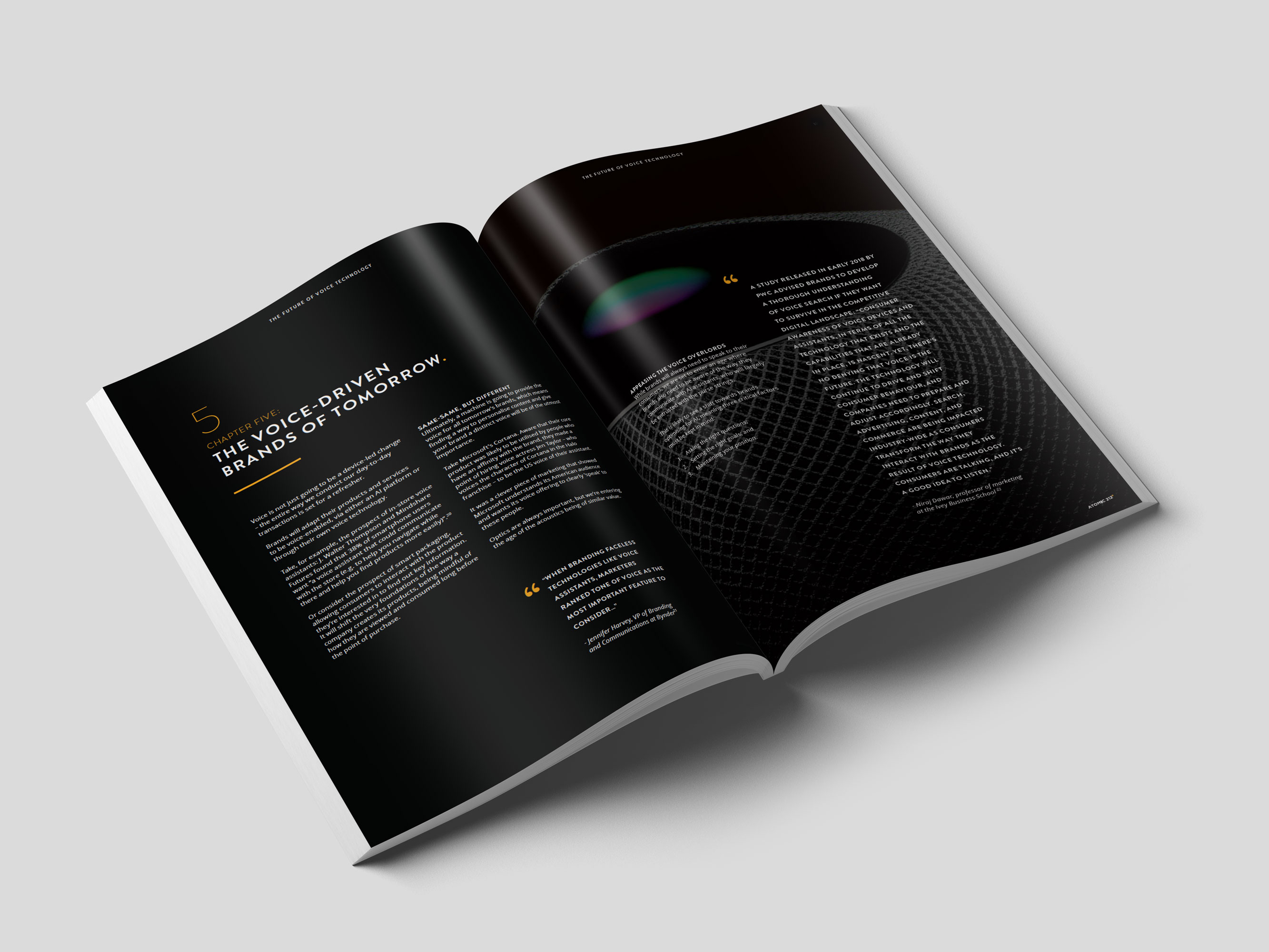 Atomic212 The Future of Voice Publication