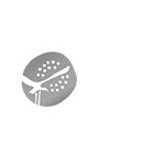 An image of the Northern Territory brand logo
