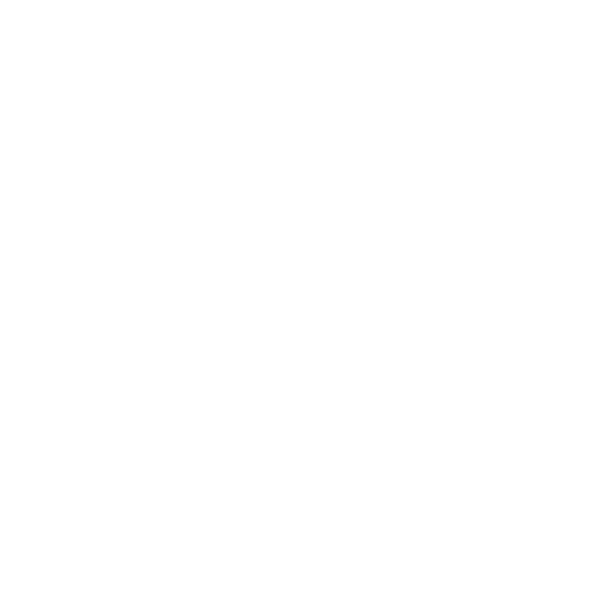 Act with Bravery Icon