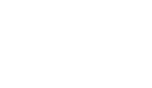 Young Lions Competition Australia logo