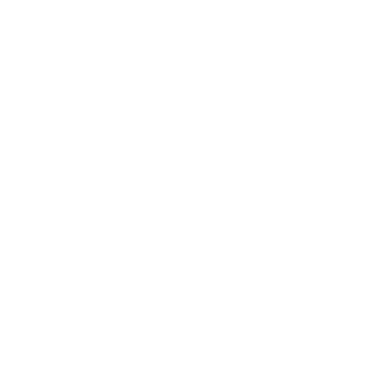 An image of the City Of Palmerston brand logo