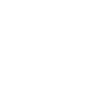 An image of the Darwin racing brand logo