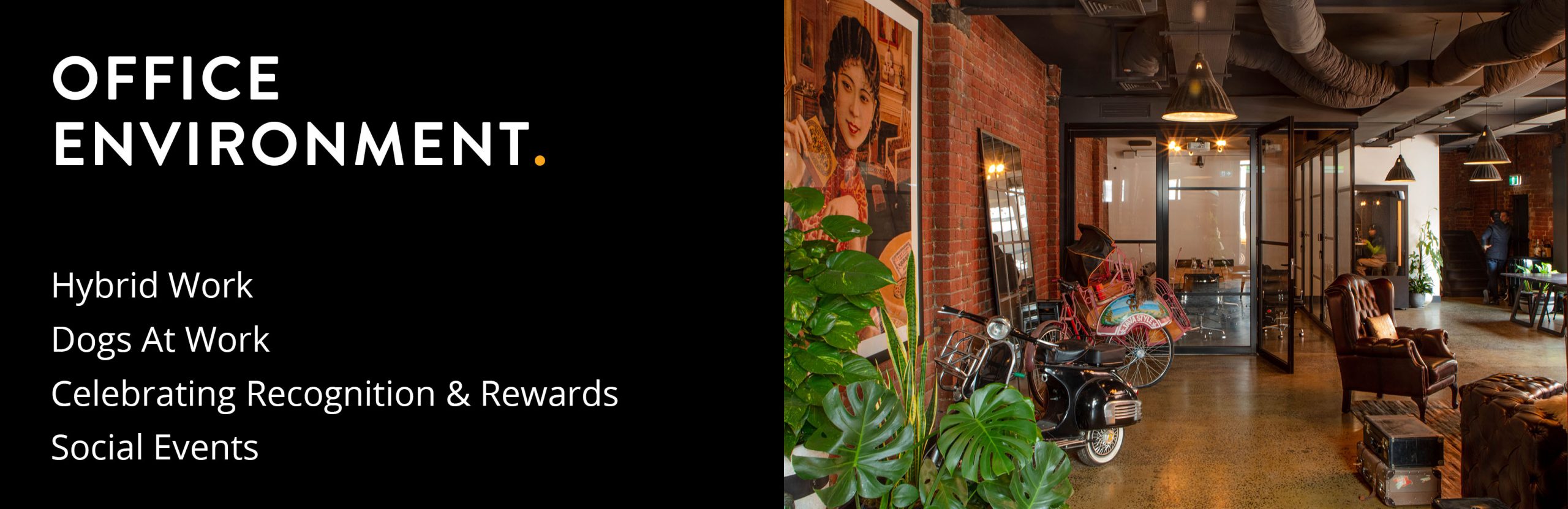 Office Environment: Hybrid Work, Dogs at work, Celebrating Recognition & Rewards, Social Events