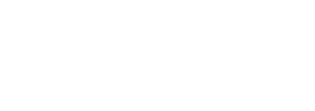 An image of the Neds brand logo