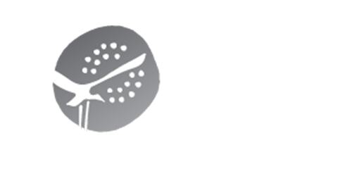 An image of the Northern Territory brand logo